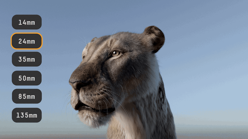 D06 Real lenses, real zooms — replace with your GIF