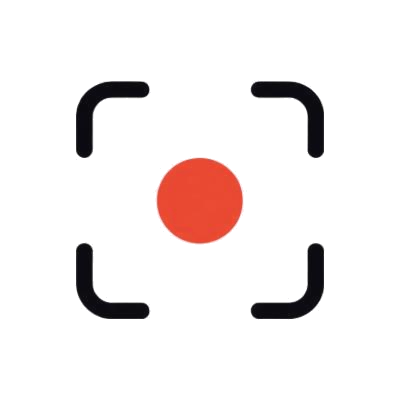 Record icon